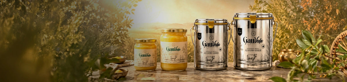 Golden daanedaar A2 cow ghee in a spoon